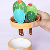 Ceramic Cactus  Measuring Spoon Set