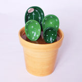 Ceramic Cactus  Measuring Spoon Set